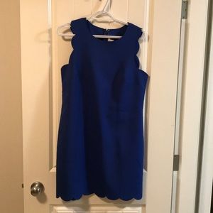 J Crew scalloped Dress Size 8